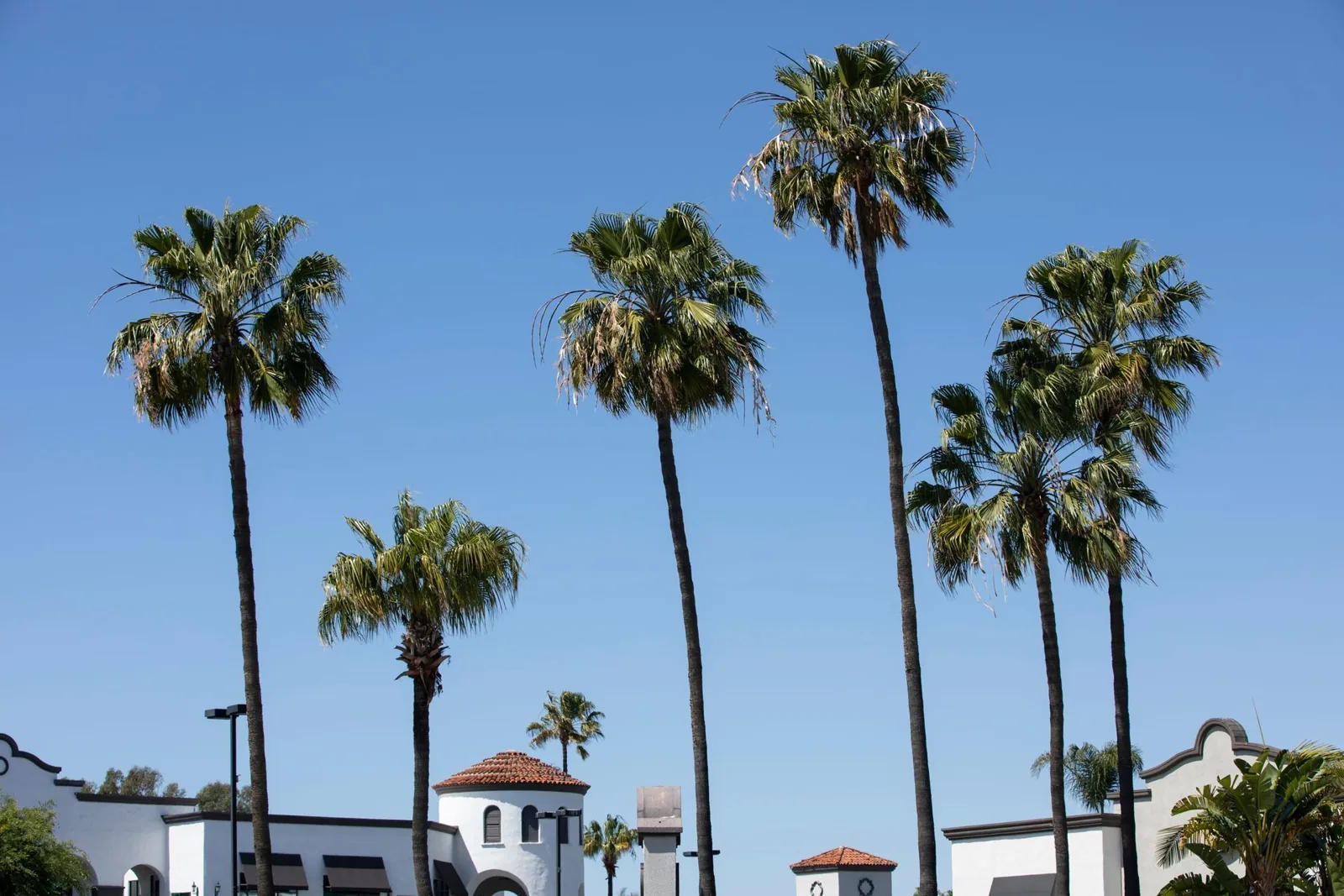 Costa Mesa Costa Mesa