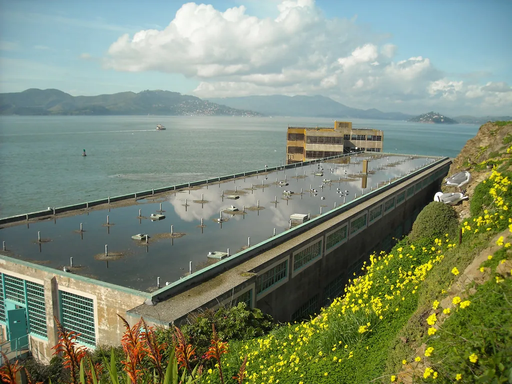 Commercial Roof Drains and Scuppers in Orange, CA